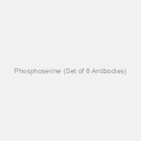 Phosphoserine (Set of 6 Antibodies)